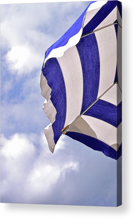 Striped Acrylic Print featuring the photograph Striped by Sandy Taylor