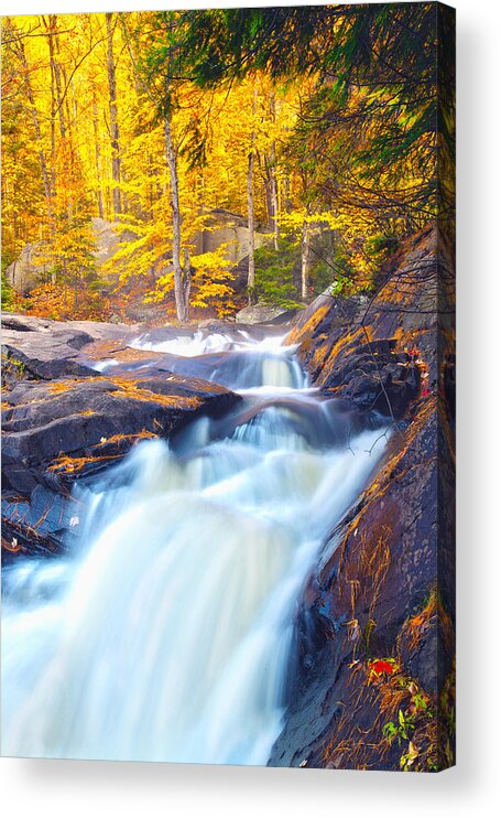 Arrowhead Provincial Park Acrylic Print featuring the photograph Stubbs Falls I by John Bartosik