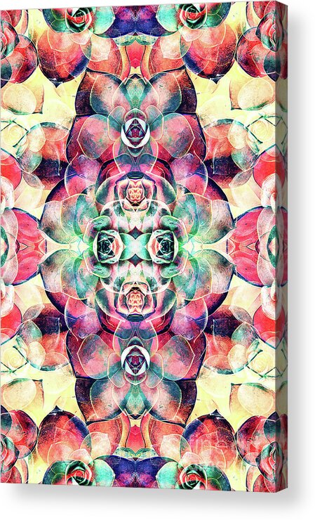 Succulents Acrylic Print featuring the digital art Succulents Abstract by Phil Perkins