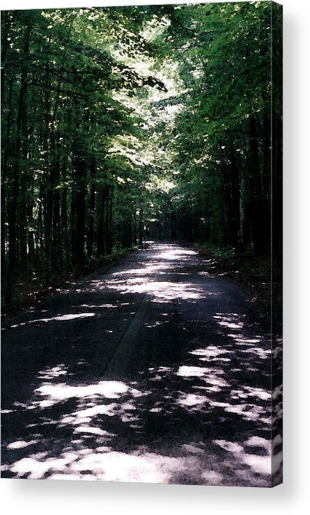 Forest Acrylic Print featuring the photograph Sun and Shadow Road in Summer IMP WC by Lyle Crump