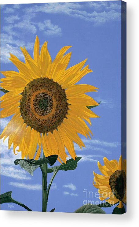 Sunflower Acrylic Print featuring the painting Sunflower by Jiji Lee