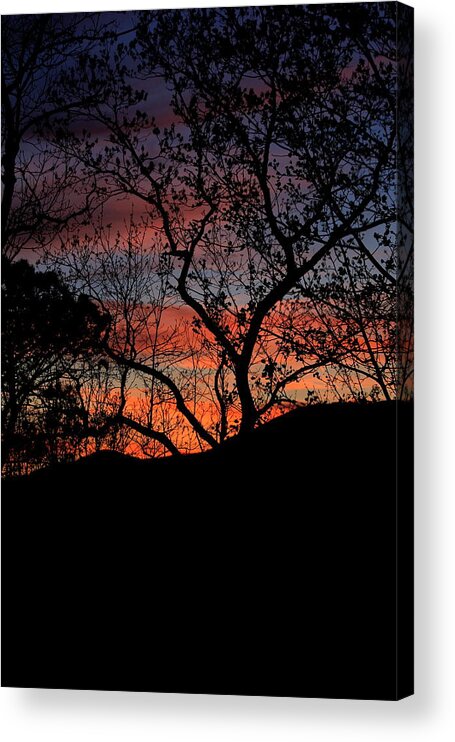 Silhouette Acrylic Print featuring the photograph Sunset by Tammy Schneider