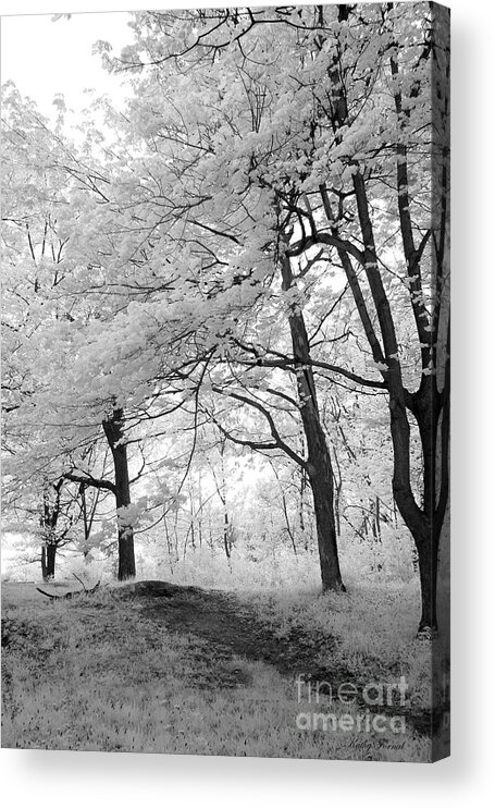 Infrared Trees Acrylic Print featuring the photograph Surreal Infrared Black White Nature Trees - Haunting Black White Trees Nature Infrared by Kathy Fornal
