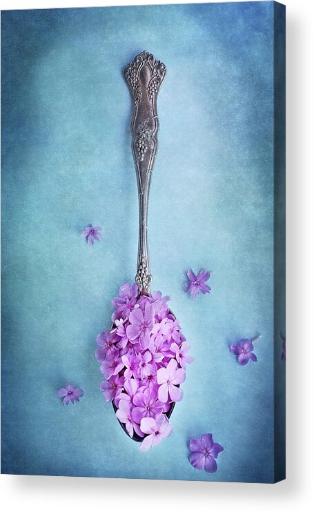 Sweet William Acrylic Print featuring the photograph Sweet Medicine by Stephanie Frey