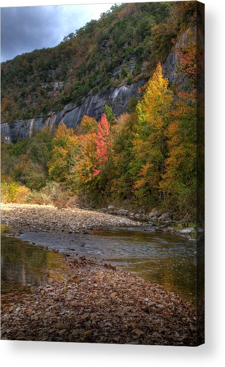 Fall Color Acrylic Print featuring the photograph Sweetgums at Steel Creek by Michael Dougherty