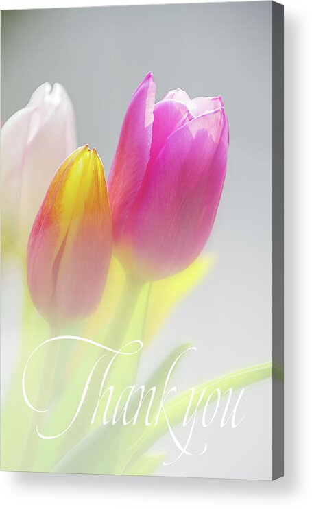 Pastel Acrylic Print featuring the digital art Thank You Tulips by Terry Davis