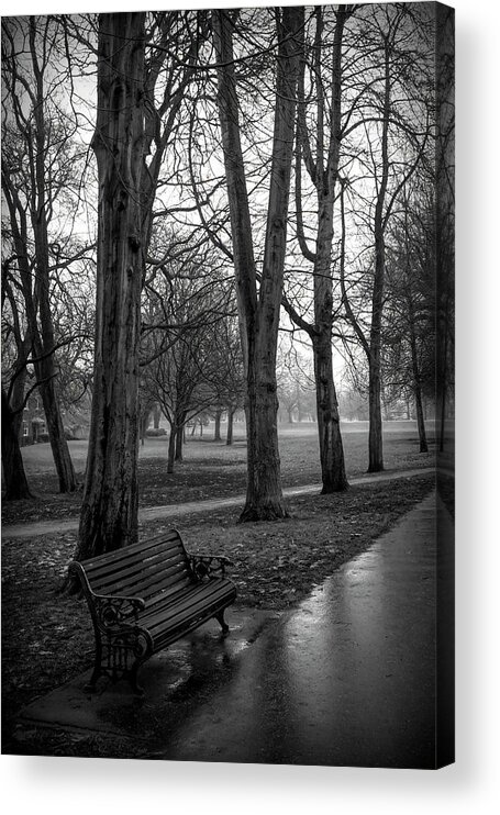 Display Acrylic Print featuring the photograph The Bench in the Park by Martin Fry