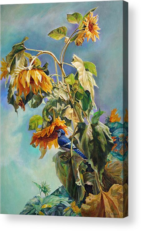 Sunflower Acrylic Print featuring the painting The Blue Jay who came to breakfast by Svitozar Nenyuk
