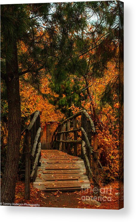 Bridge Acrylic Print featuring the photograph The Bridge by Tommy Anderson