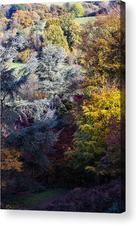Autumn Acrylic Print featuring the photograph The Colours of Autumn by Andy Myatt