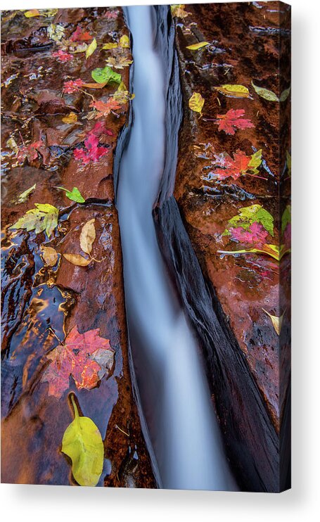 Zion Acrylic Print featuring the photograph The Crack by Wesley Aston