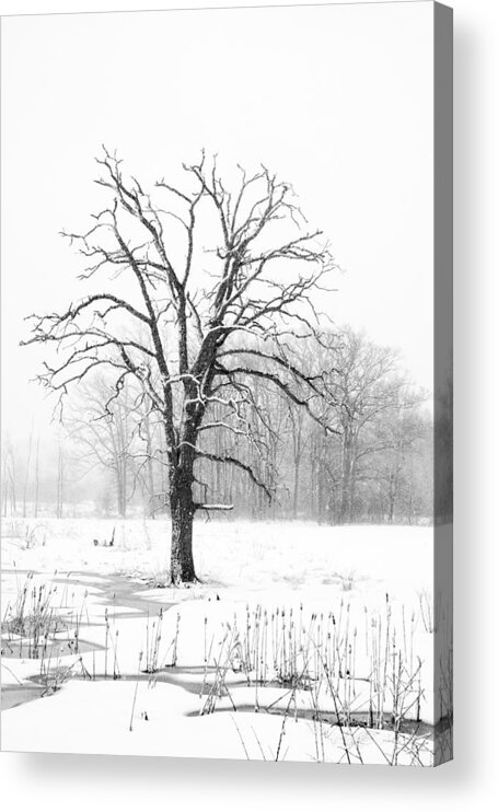 Black And White Acrylic Print featuring the photograph The Stillness by Michael Hubley