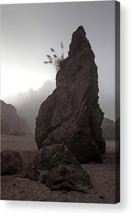 Rock Acrylic Print featuring the photograph The Flower Girl by Mark Alder