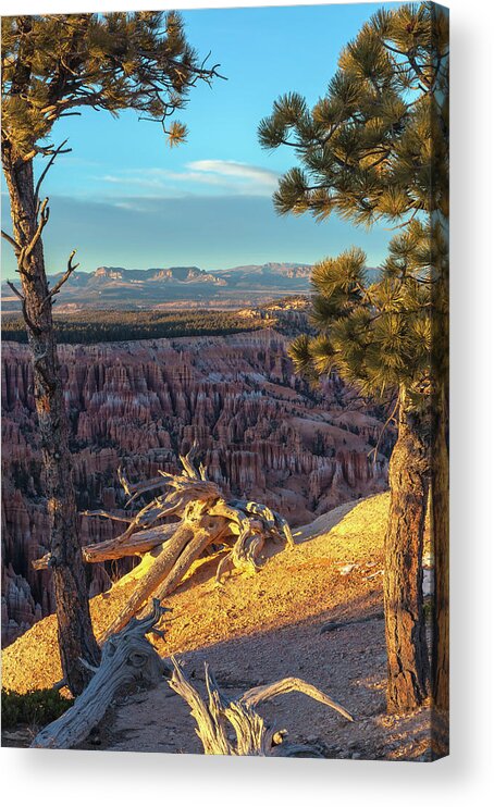 Bryce Canyon National Park Acrylic Print featuring the photograph The Landscape at Bryce Canyon by Jonathan Nguyen