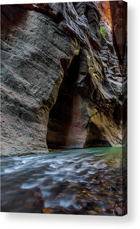 Landscape Acrylic Print featuring the photograph Zion Narrows by Chuck Jason