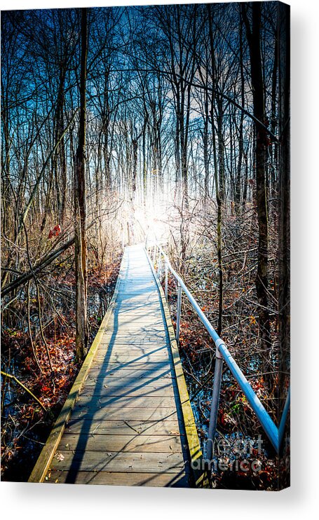  Path Acrylic Print featuring the photograph The Path Home by Jim DeLillo
