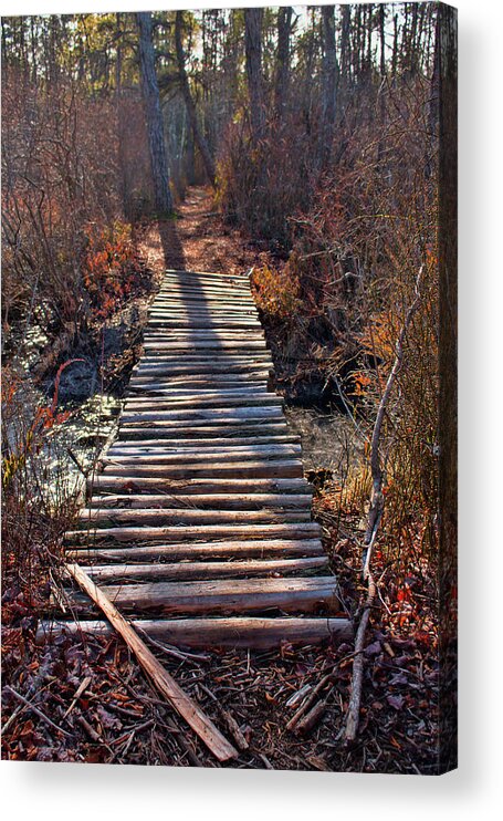 Nj Acrylic Print featuring the photograph The Path Less Traveled by Kristia Adams