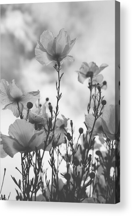 Flowers Acrylic Print featuring the photograph The Same Air You Breathe by Laurie Search