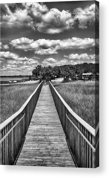 Nature Acrylic Print featuring the photograph The Shell Mound by Howard Salmon