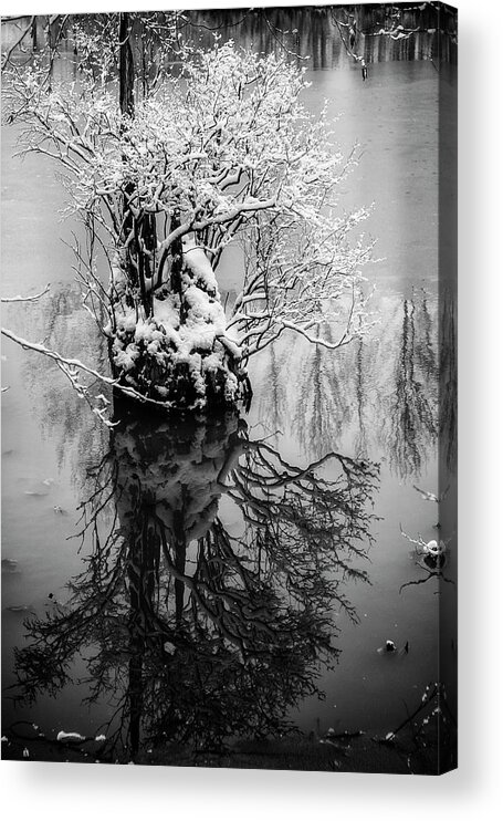Stump Acrylic Print featuring the photograph The Stump by Monte Arnold