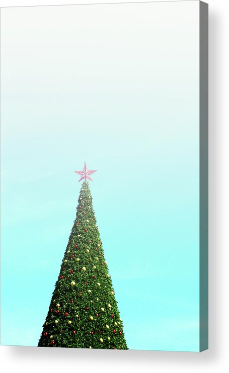 Christmas Acrylic Print featuring the photograph The Tallest Christmas Tee- Photograph by Linda Woods by Linda Woods