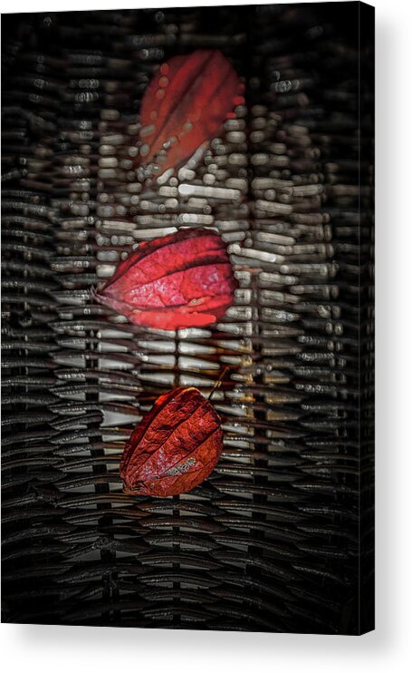 Still Life Acrylic Print featuring the photograph The Three Reds by Plamen Petkov
