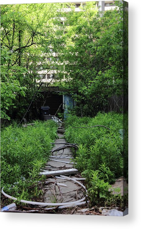 Creepy Acrylic Print featuring the photograph The Tool Shed by Kreddible Trout