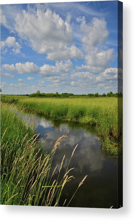 Glacial Park Acrylic Print featuring the photograph The Wetlands of Hackmatack National Wildlife Refuge by Ray Mathis