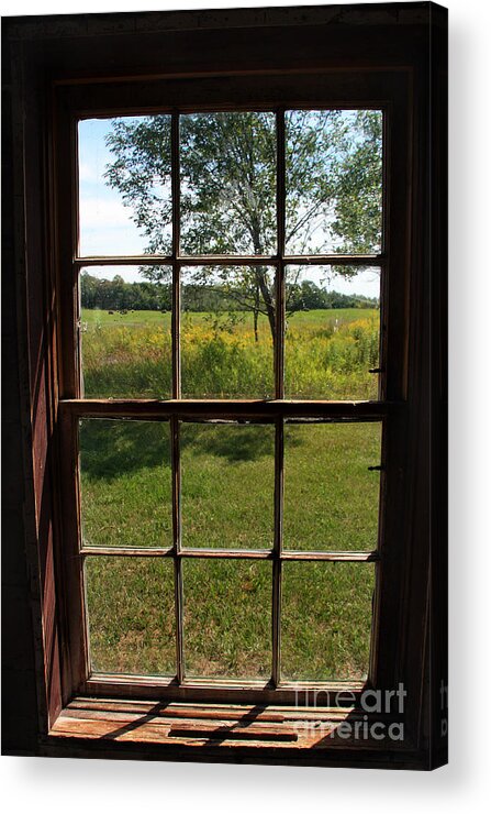 Window Acrylic Print featuring the photograph The Window 2 by Joanne Coyle