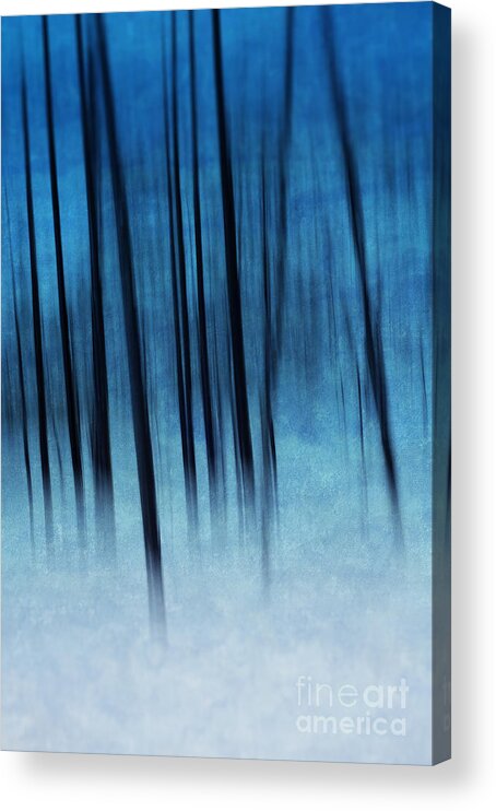 Tree Acrylic Print featuring the photograph Through a Wood Darkly by David Lichtneker
