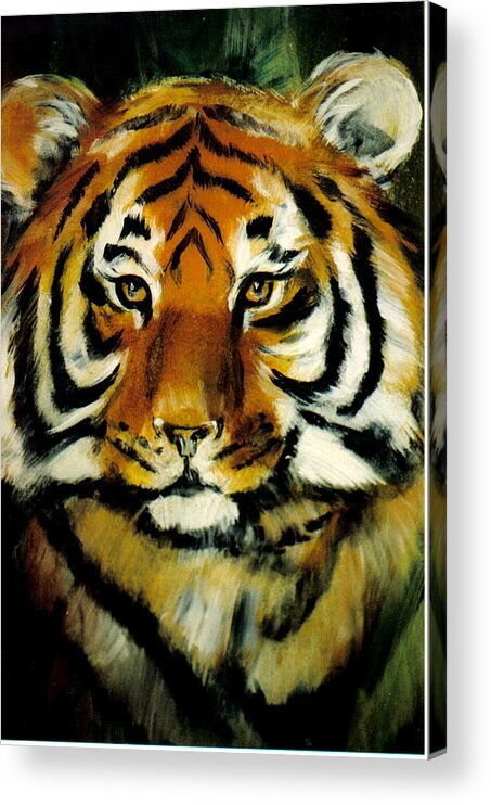 Tiger Acrylic Print featuring the painting Tiger by Sandra Dee