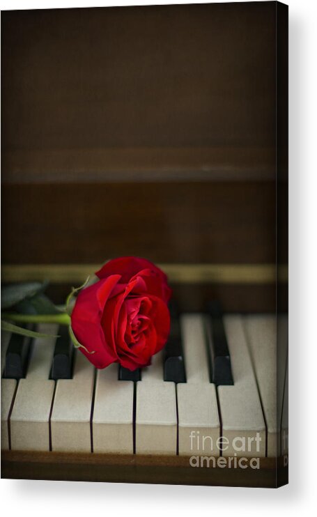 Alone Acrylic Print featuring the photograph Timeless Melody by Evelina Kremsdorf