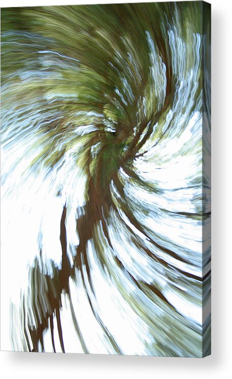 Abstract Acrylic Print featuring the photograph Tree Diptych 1 by Ric Bascobert