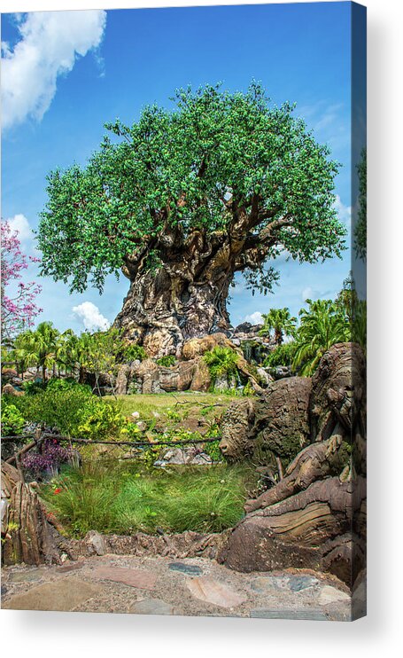 Tree Of Life Acrylic Print featuring the photograph Tree of Life by Pamela Williams