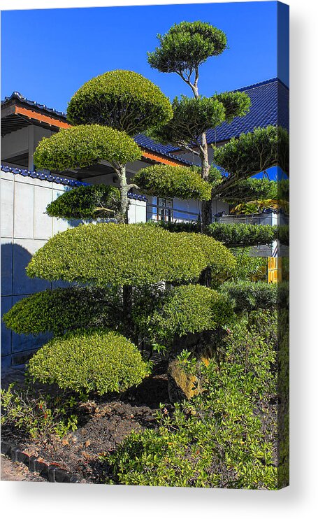 Japanese Gardens Acrylic Print featuring the photograph Japanese Gardens Series 84 by Carlos Diaz