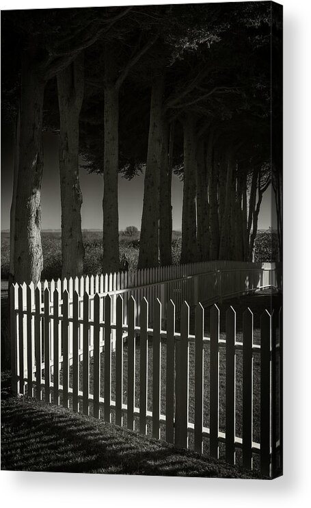 Trees Acrylic Print featuring the photograph Trees and Pickets by Bud Simpson