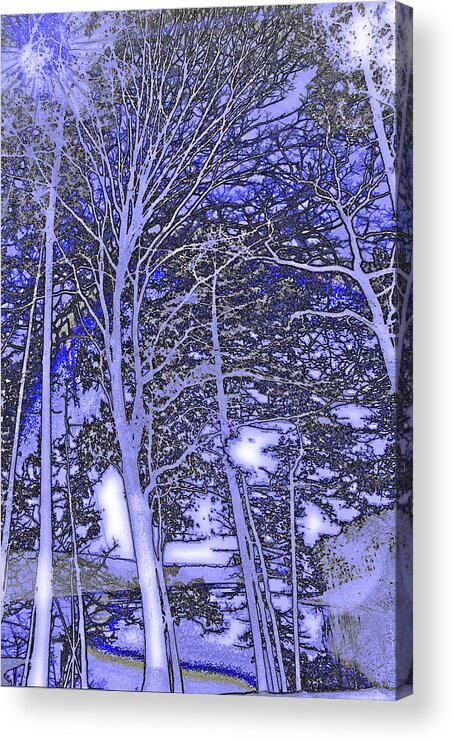 Nature Acrylic Print featuring the photograph Trees Dancing by Kicking Bear Productions