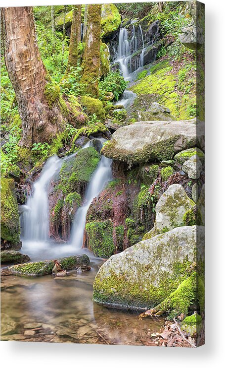 Blount County Tennessee Acrylic Print featuring the photograph Tremont Road Waterfall by Victor Culpepper