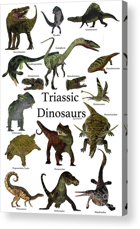 Triassic Acrylic Print featuring the digital art Triassic Dinosaurs by Corey Ford
