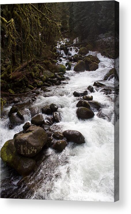 Triples Feed Acrylic Print featuring the photograph Triple's Feed by Dylan Punke