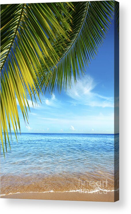 Bay Acrylic Print featuring the photograph Tropical Beach by Carlos Caetano