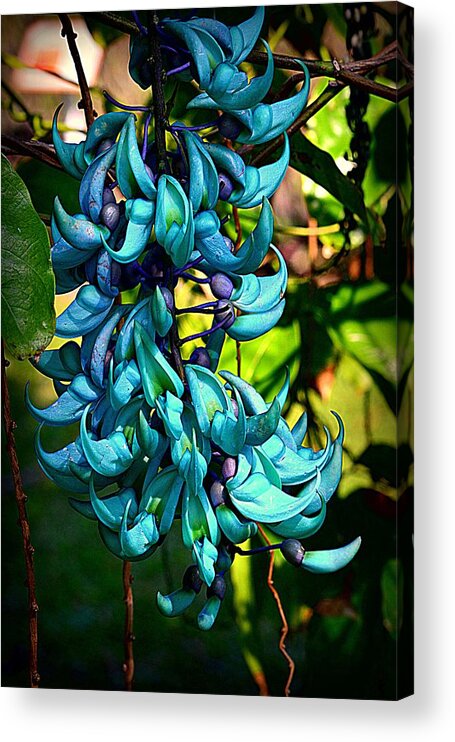 Jade Acrylic Print featuring the photograph Tropical Jade by Lori Seaman