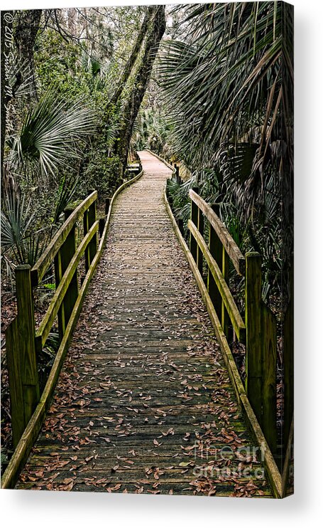 Photography Acrylic Print featuring the photograph Tropical Walk by Susan Smith