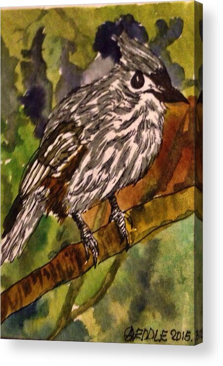 Tufted Titmouse Acrylic Print featuring the painting Tufted Titmouse by Angela Weddle