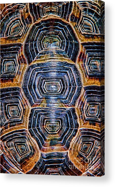 Turtle Shell Acrylic Print featuring the photograph Turtle Madness by Mariola Bitner