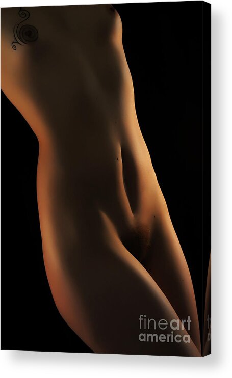 Artistic Photographs Acrylic Print featuring the photograph Twist and curve by Robert WK Clark
