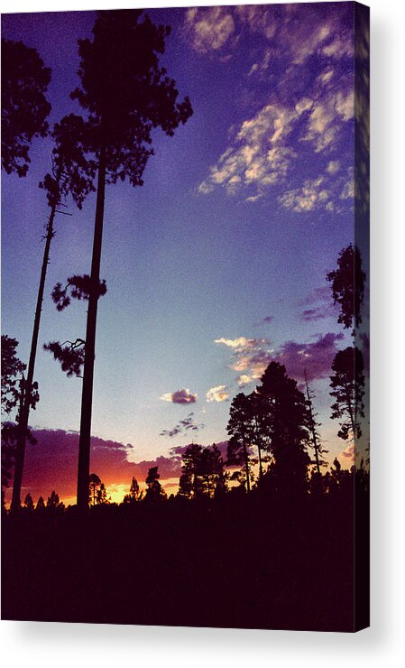 Arizona Sunset Acrylic Print featuring the photograph Two Pines Sunset by Randy Oberg