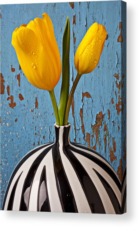 Two Yellow Acrylic Print featuring the photograph Two Yellow Tulips by Garry Gay