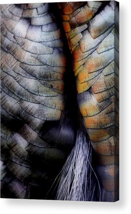 Abstract Acrylic Print featuring the photograph Uncle Tom's gobbler n'all.... by Russell Styles