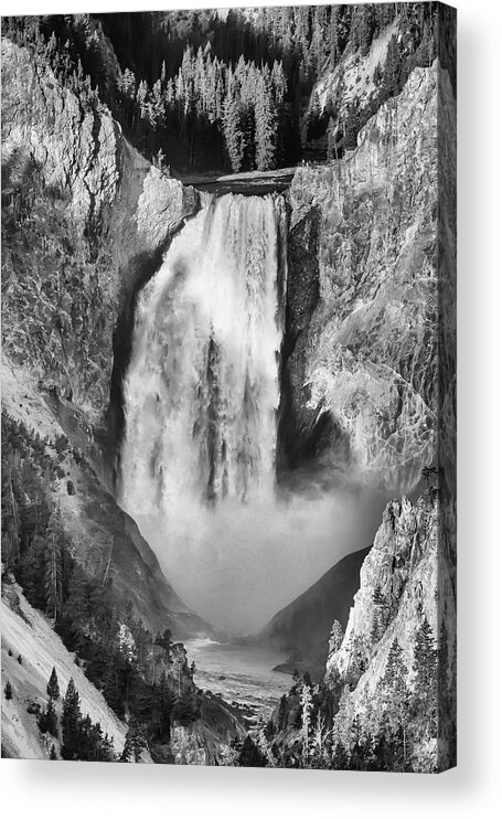 Black White Acrylic Print featuring the photograph Upper Yellowstone Falls in Black and White by James BO Insogna